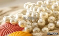 <b>海水珍珠比淡水珍珠贵的原因是什么？2023-10-28</b>