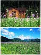 三明渔业三明：花样渔村 水乡沧龙这个盛夏等你