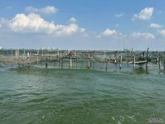 “价格暴跌”等于“大闸蟹自由”？真相是—水