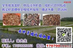 <b>淡水虾苗批发市场广东省惠州市淡水虾苗批发</b>