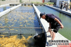 网箱养殖类型利用适宜地理位置 大力发展