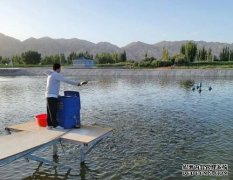 新疆水产养殖基地为农业插上科技翅膀！沙漠边