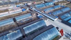 河北古冶：鱼儿安新家？淡水水产养殖官