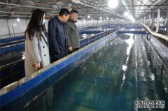 兴化宏云渔业：“工厂化”养鱼 探出生态环保养