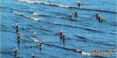 <b>淡水水产养殖网中国水产网大量招商中喜迎年末</b>
