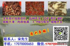 淡水虾苗批发市场四川省南充市淡水虾苗