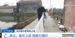 淡水鱼价格持续上涨 销售行情好2024-05-