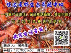 淡水虾苗价格一览表广东省江门市淡水虾