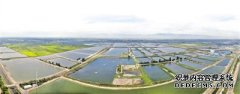 淡水养殖设施贺兰淡水养殖的春夏秋冬