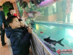 三明鱼三明泰宁：观赏鱼“游”入百姓家