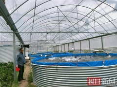 大棚养鱼蹚出转型发展新路丹江口渔民开启陆上