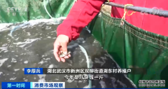 <b>涨！淡水鱼价格全线上涨！养殖户曾大批转行“</b>