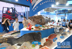 美味鱼虾从近海“种”出来也从远洋“游