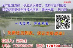 <b>河南省漯河市淡水虾苗批发2024-06-05</b>