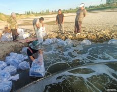 淡水养殖种类吉木萨尔县：万尾虾苗入塘忙