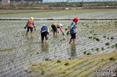 海水养殖 大棚唐山市人民政府