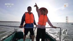 耕海牧渔 看海水养殖如何向深远海探索？2024-0