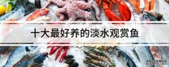 淡水养殖什么品种好十大最好养的淡水观赏鱼