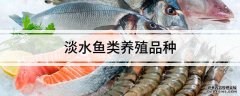 淡水鱼类养殖品种淡水养殖品种有哪些