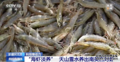 内陆没有“海”如何养“海鲜”？淡水养殖对土
