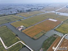 “第六产”塑造出的新时代“鱼米之乡”2024-06