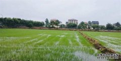 <b>淡水养殖模式拓宽农民增收渠道嘉兴秀洲探索稻</b>