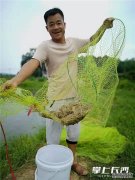 淡水养海虾长沙农户闯出致富新路养殖淡水虾