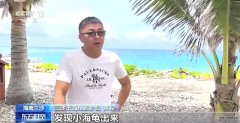 又迎繁殖季 他们24小时监测保护海龟宝宝2024-06