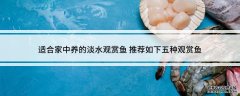 适合家中养的淡水观赏鱼_适合养殖的淡水鱼