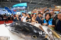 2024渔业周·渔博会圆满落幕 3天165万人次打卡“海