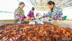水上养殖淡水网箱养殖