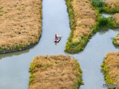 <b>中国淡水养殖产量菜花之外铺展全域旅游画卷</b>