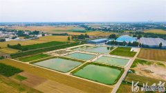 淡水养殖邢台南和区：淡水鱼养殖助增收