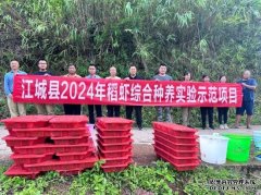 淡水养殖什么效益高普洱江城：“稻虾共养” 引