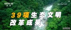 <b>从萌芽到百花齐放 改革脉搏永不停歇2024-07-21</b>