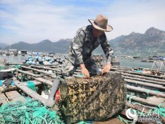 农业农村部：到2025年渔业产值将达15万亿