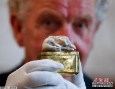 世界最大淡水珍珠在荷兰海牙拍卖 32万欧元落槌
