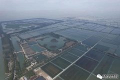6月1日起实施这项标准事关全市水产养殖
