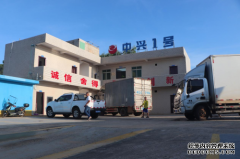 淡水养殖虾图片恒兴虾苗——白便也能存