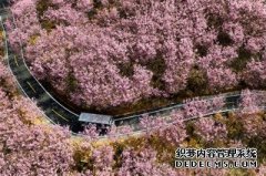 三明产业观察 揭开特色农产品的“创富密