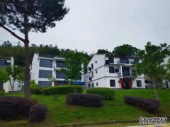 【大国基理】福建三明：以“基层善治”夯实“