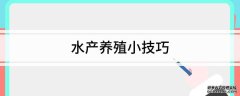<b>水产养殖技术水产养殖小技巧</b>