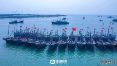 海报新观察日照海鲜何以香飘万里？_大众网202
