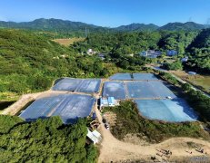 科技赋能助推水产养殖业提质增效_传统水