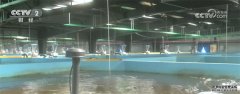 水产养殖现状让海鲜更新鲜 海鲜陆养成为