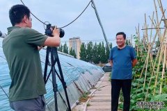 立秋 乡村振兴 山东科技特派员在行动2